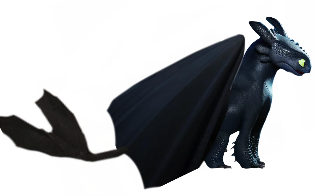 Toothless full body version by DracoAwesomeness on DeviantArt