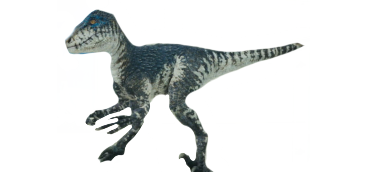 Raptor by DracoAwesomeness on DeviantArt