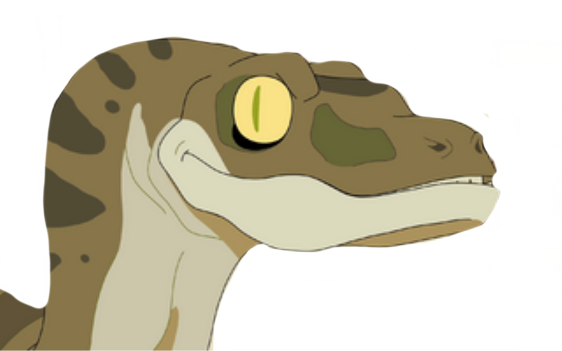 Photography Raptor by DracoAwesomeness on DeviantArt