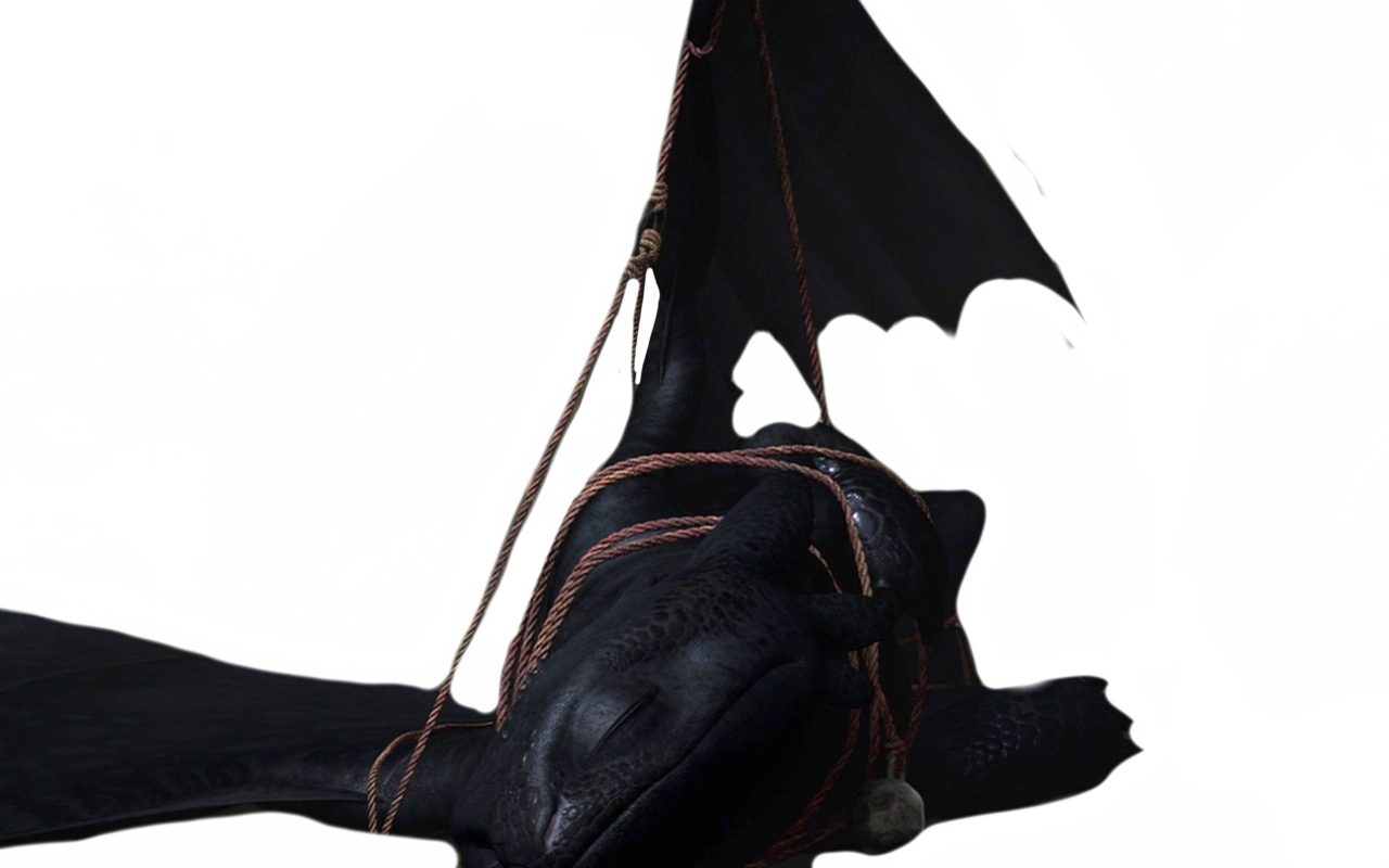 Toothless Trapped by DracoAwesomeness on DeviantArt