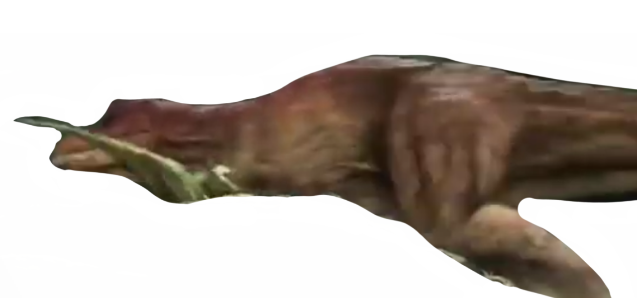 One eye by DracoAwesomeness on DeviantArt