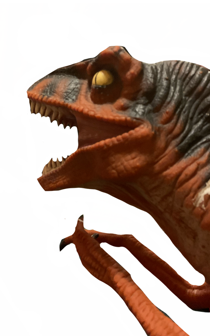 Raptor by DracoAwesomeness on DeviantArt