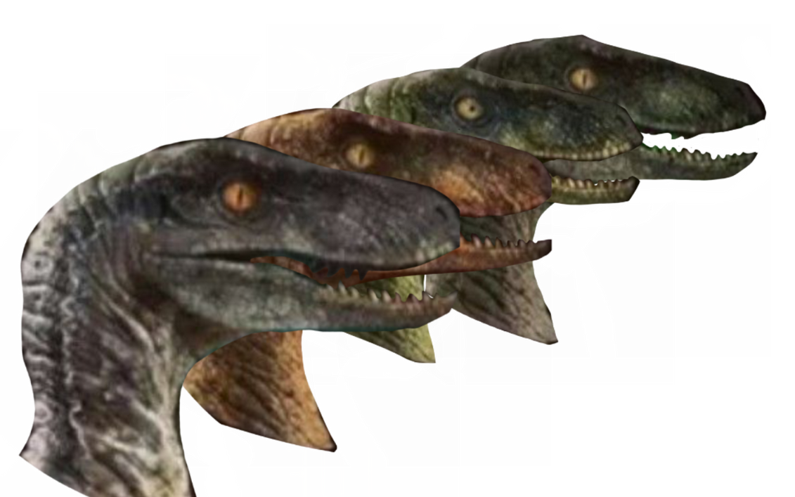 All 4 Raptors The raptors by DracoAwesomeness on DeviantArt