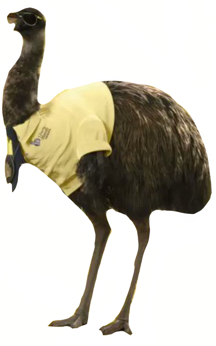 Limu Emu By DracoAwesomeness On DeviantArt limu-emu-by-dracoawesomeness-on-deviantart