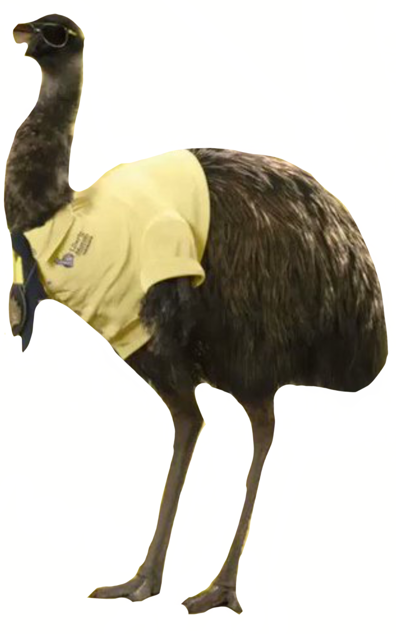 Limu emu by DracoAwesomeness on DeviantArt