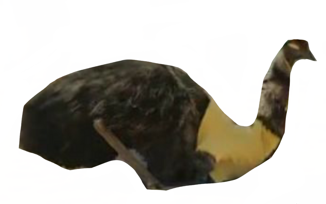 Limu emu by DracoAwesomeness on DeviantArt