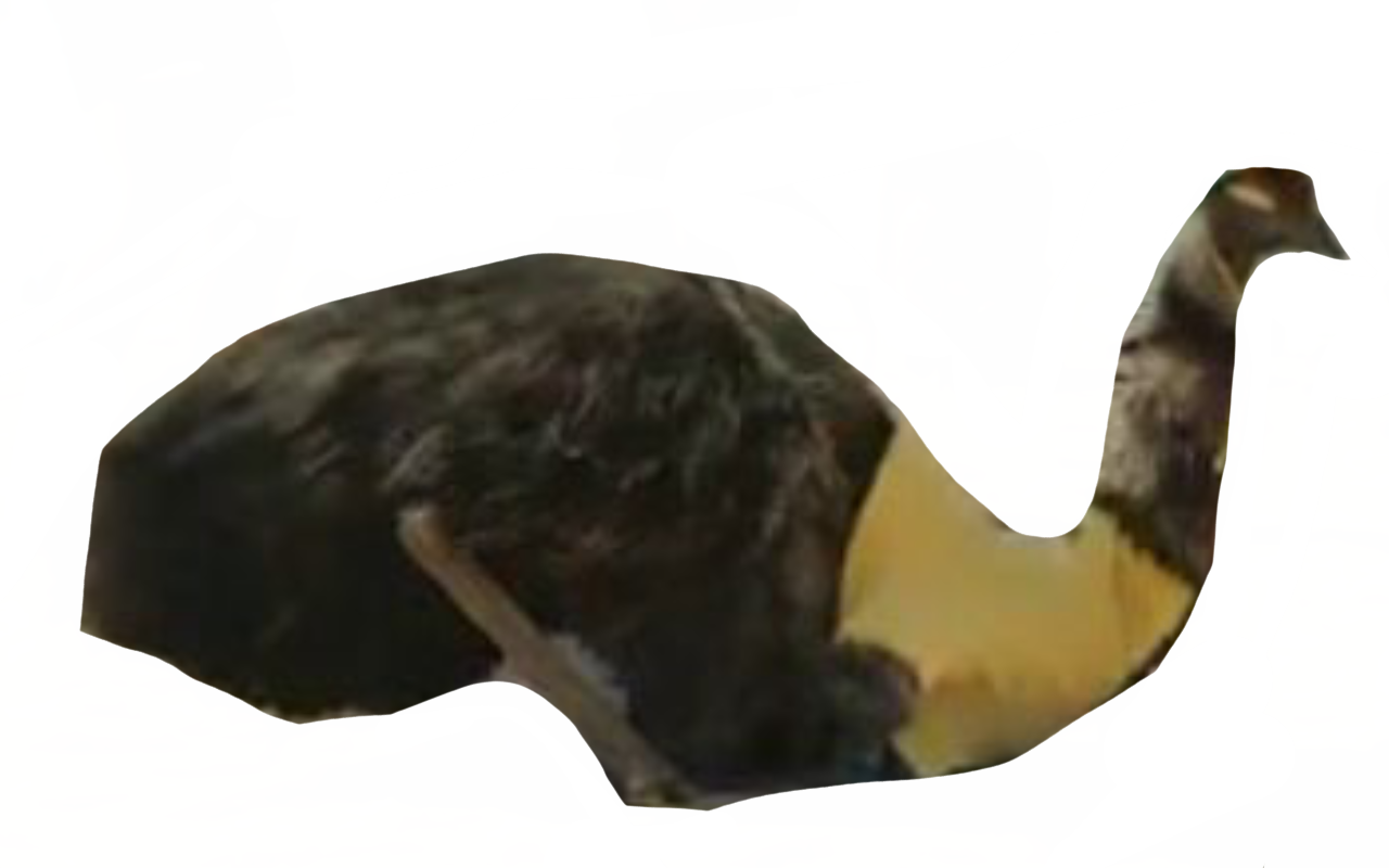 Limu emu by DracoAwesomeness on DeviantArt