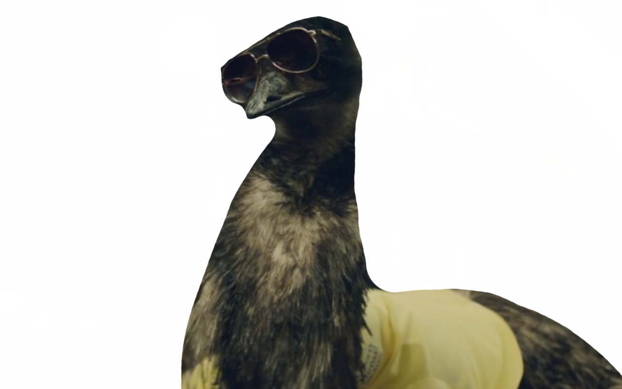 Limu emu by DracoAwesomeness on DeviantArt