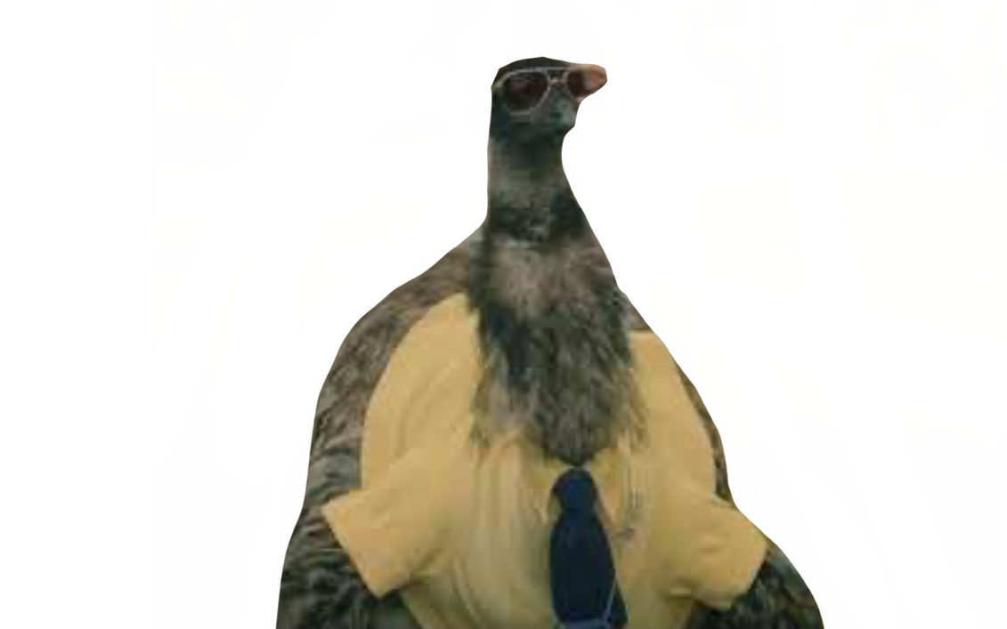 Limu emu by DracoAwesomeness on DeviantArt