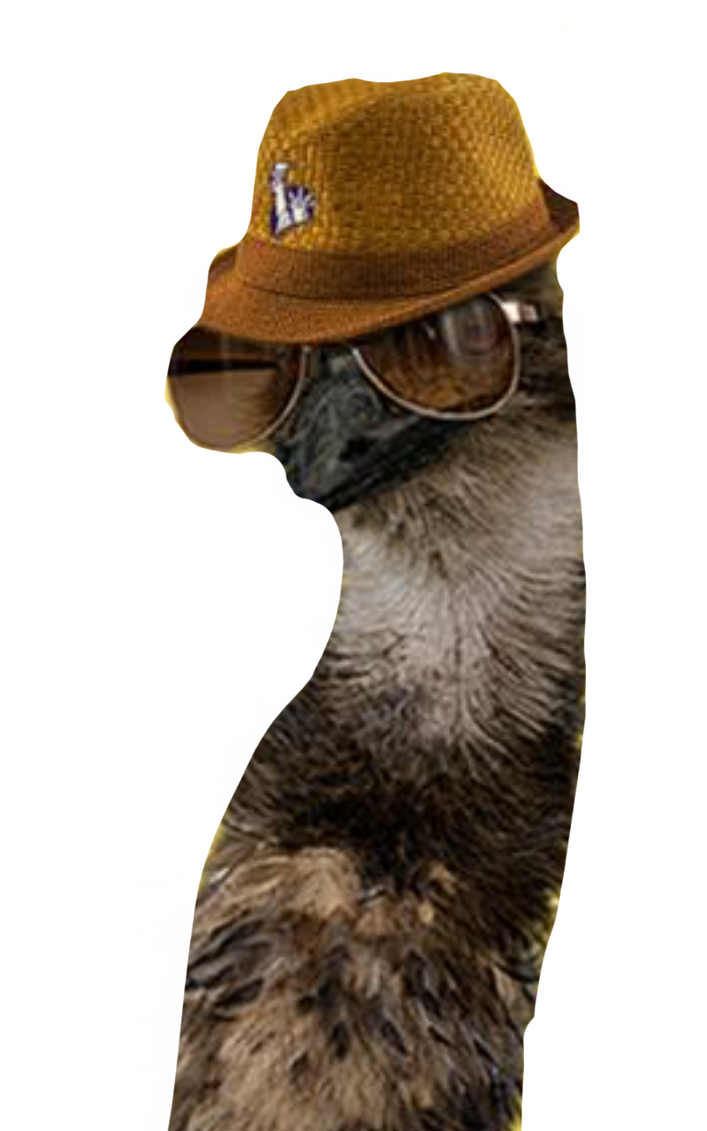 Limu emu by DracoAwesomeness on DeviantArt