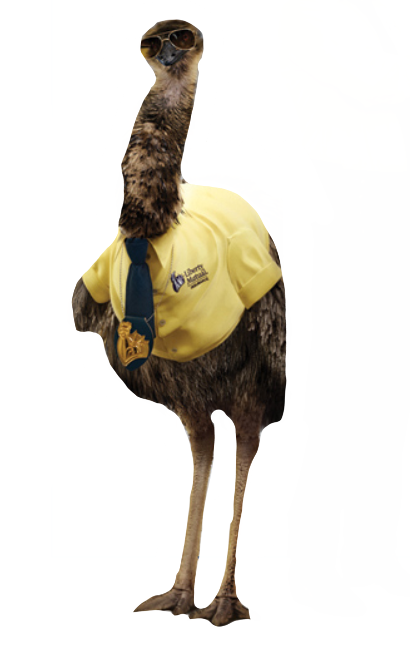 Limu emu by DracoAwesomeness on DeviantArt