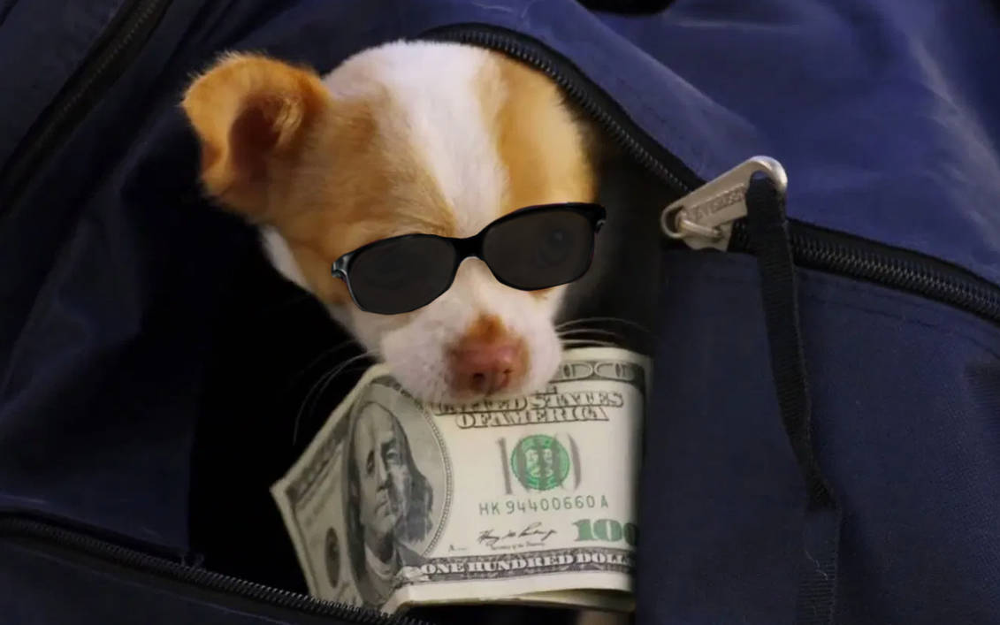 Cool papi jr by DracoAwesomeness on DeviantArt