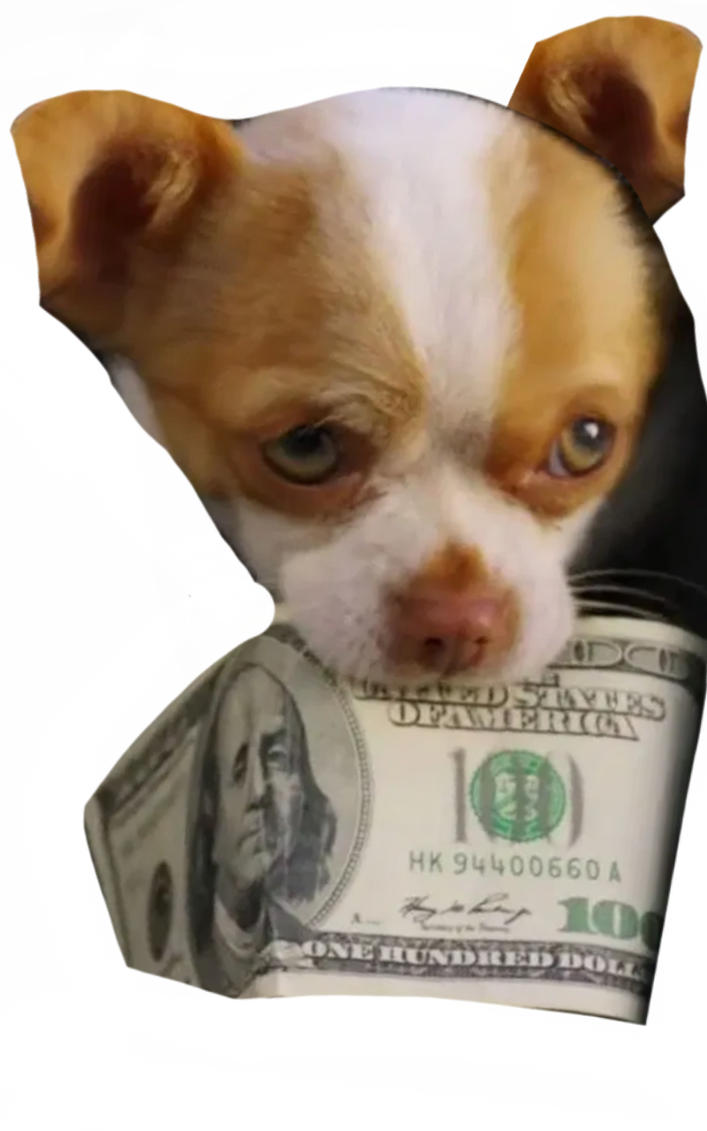 Papi jr by DracoAwesomeness on DeviantArt