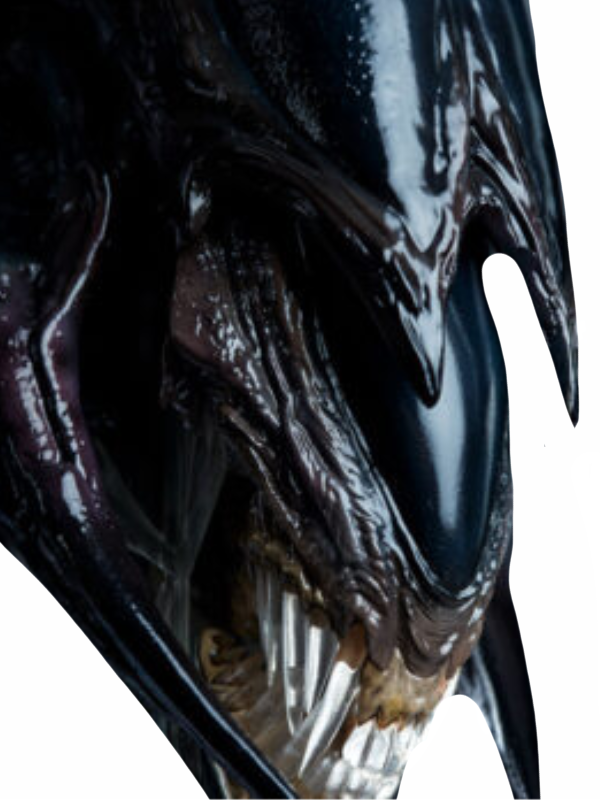 Alien Queen by DracoAwesomeness on DeviantArt