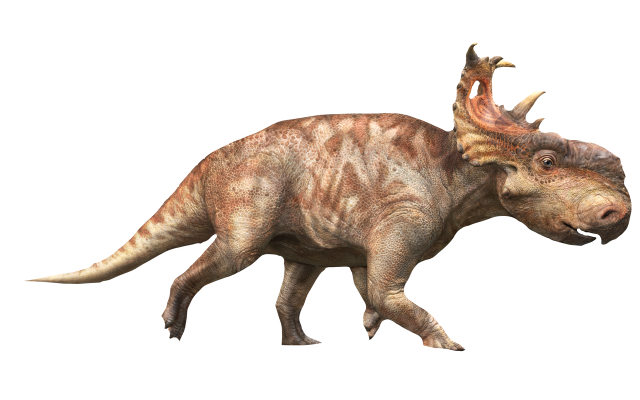 Patchi by DracoAwesomeness on DeviantArt