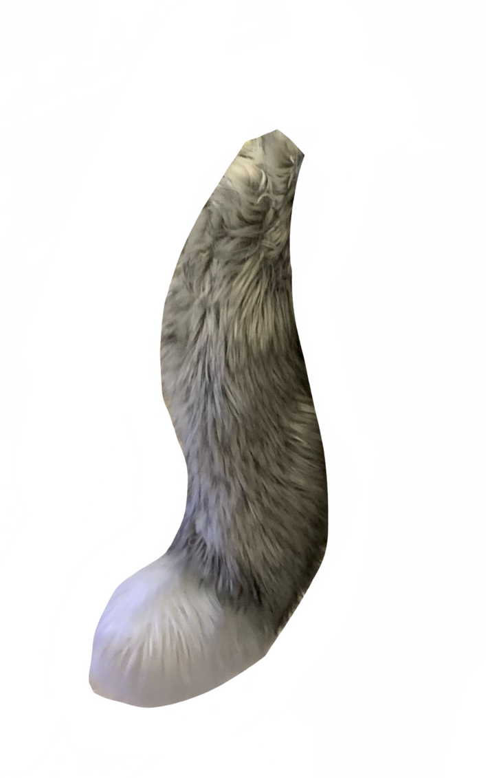 Furry Tail By DracoAwesomeness On DeviantArt furry-tail-by-dracoawesomeness-on-deviantart