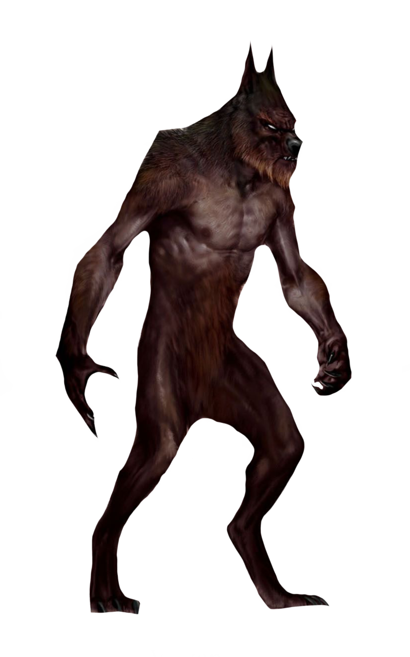 Velkan Velkan werewolf by DracoAwesomeness on DeviantArt