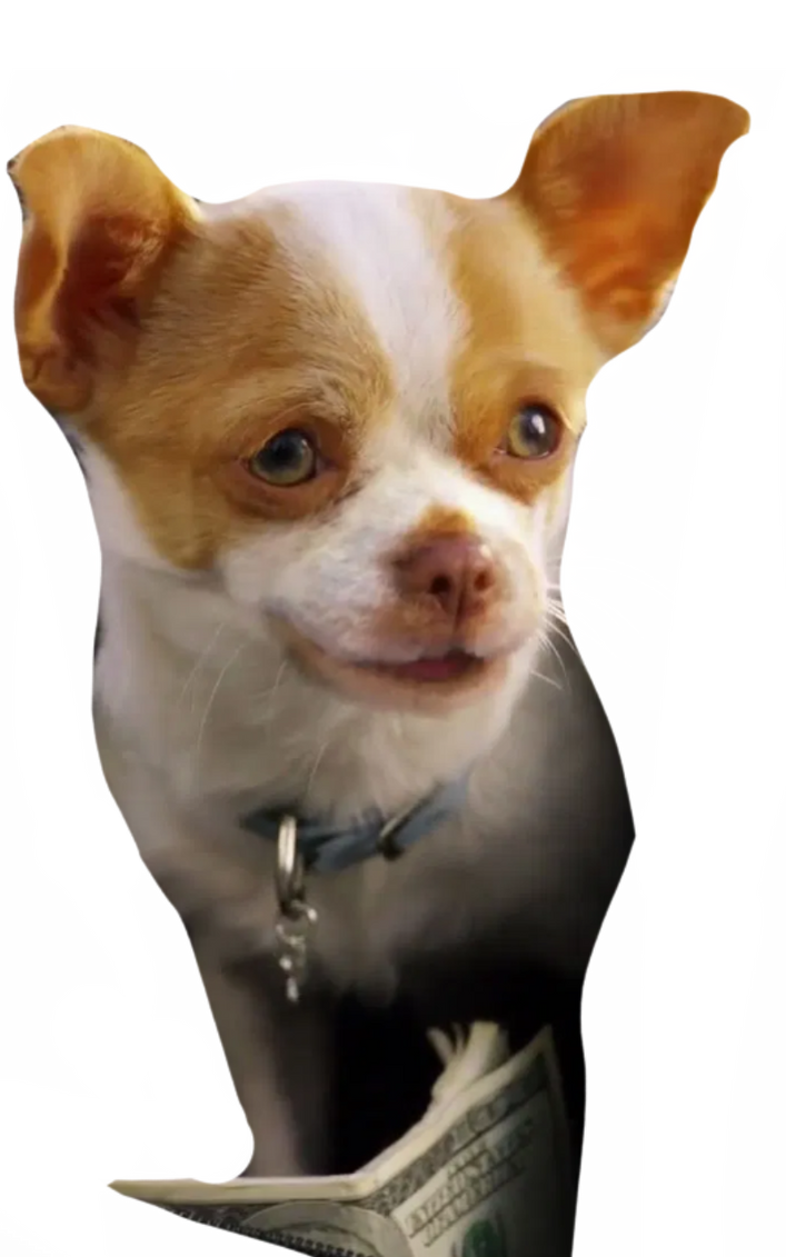 Papi jr by DracoAwesomeness on DeviantArt