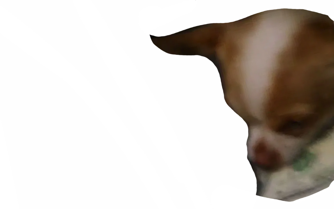 Papi jr by DracoAwesomeness on DeviantArt