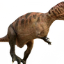 Carcharodontosaurus