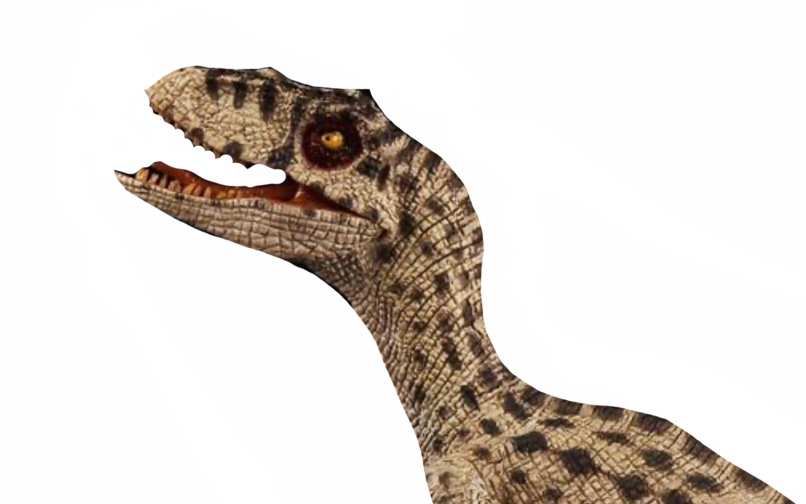 Raptor by DracoAwesomeness on DeviantArt