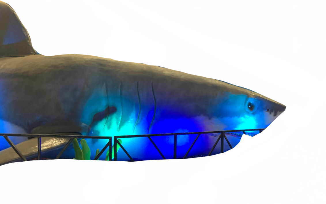 Megalodon by DracoAwesomeness on DeviantArt