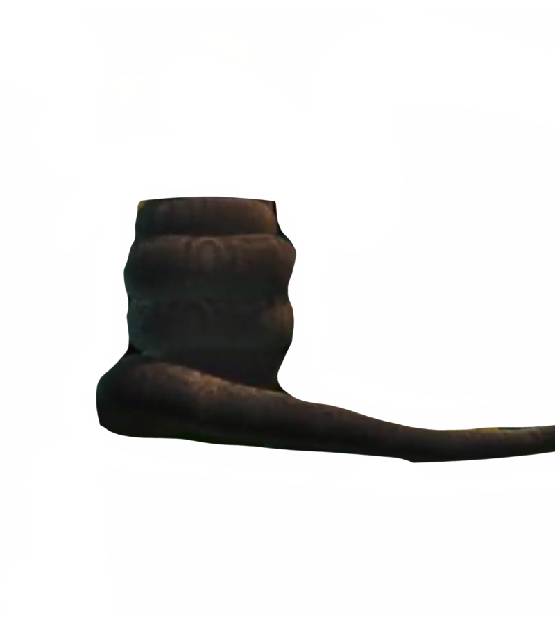 Snake coils by DracoAwesomeness on DeviantArt
