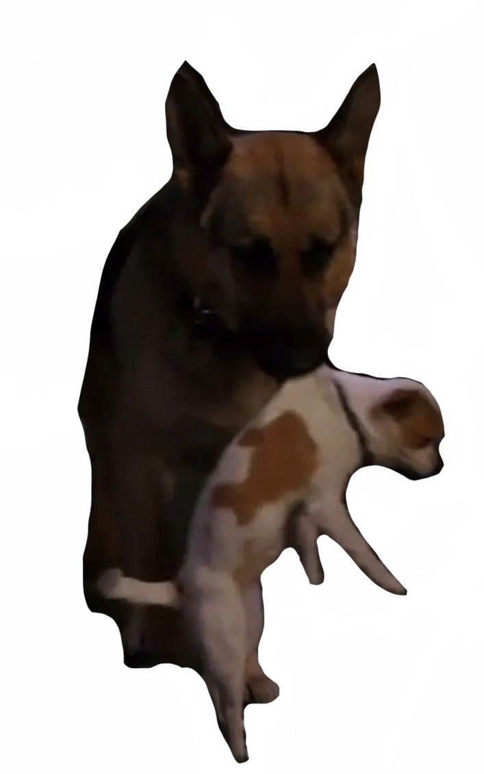 Delgado saves papi jr by DracoAwesomeness on DeviantArt