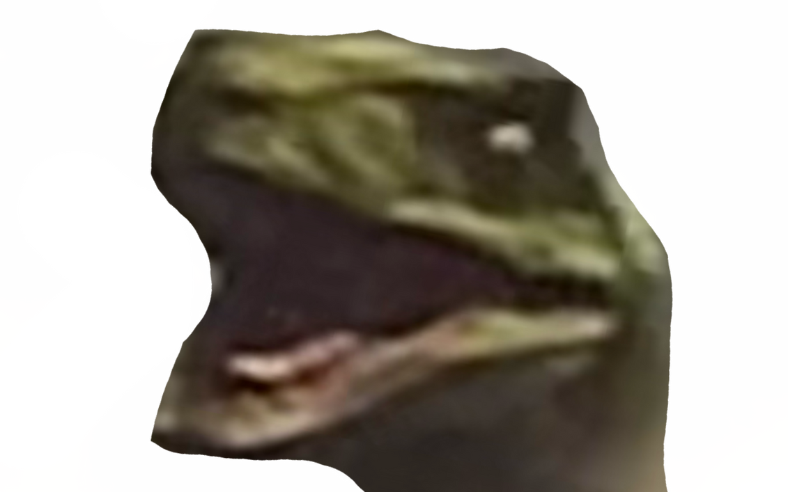 Raptor by DracoAwesomeness on DeviantArt