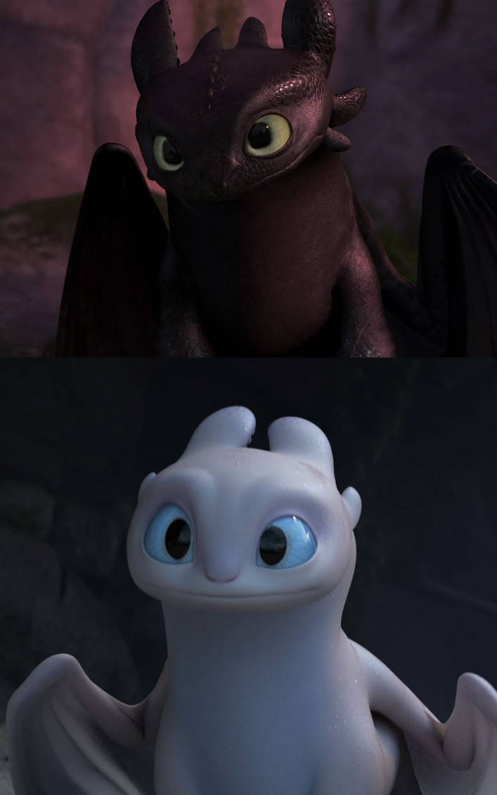 Toothless Combo Toothless and light fury similarities by DracoAwesomeness on DeviantArt