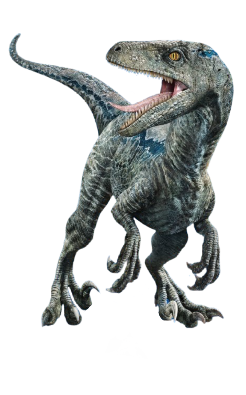 Blue by DracoAwesomeness on DeviantArt