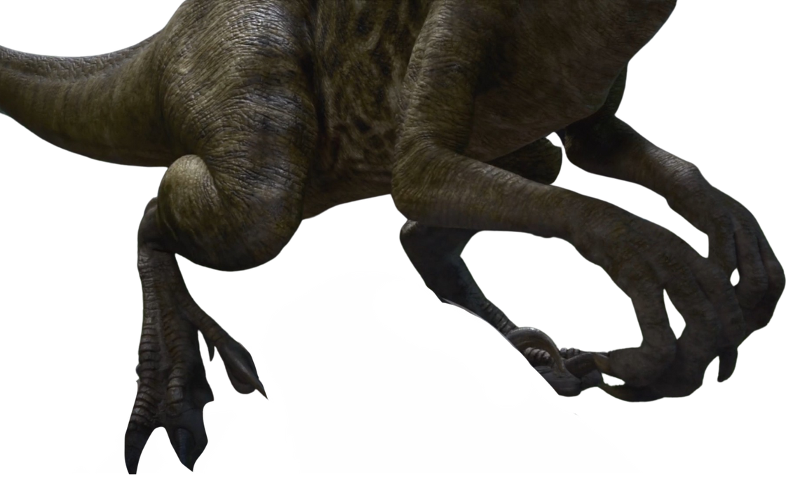 Raptor feet by DracoAwesomeness on DeviantArt