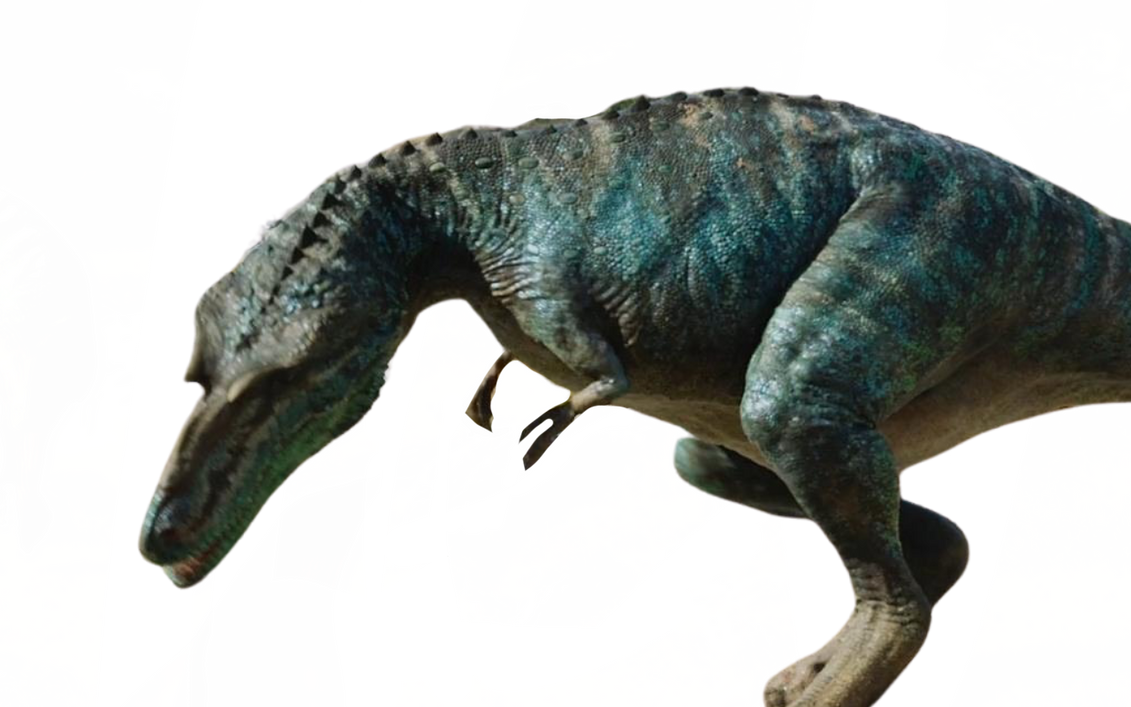Gorgosaurus by DracoAwesomeness on DeviantArt