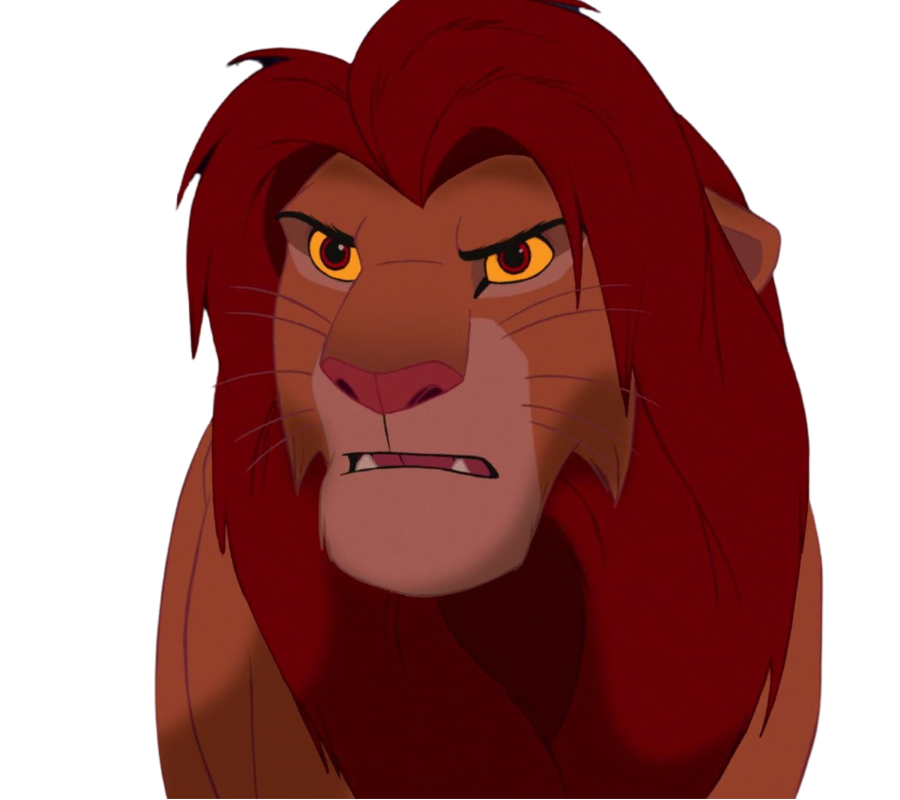 Simba by DracoAwesomeness on DeviantArt