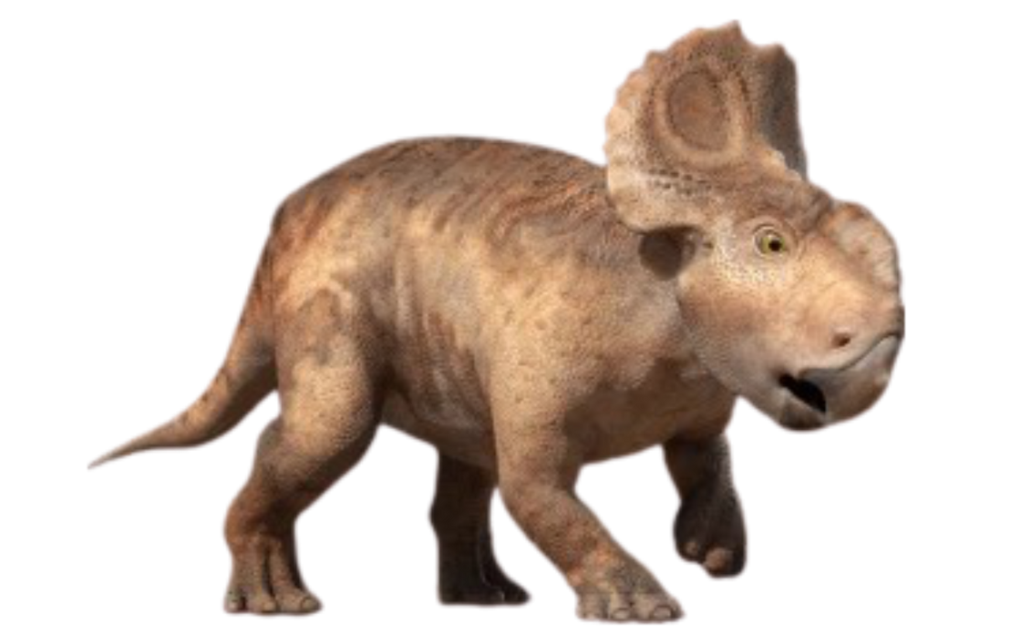 Patchi by DracoAwesomeness on DeviantArt