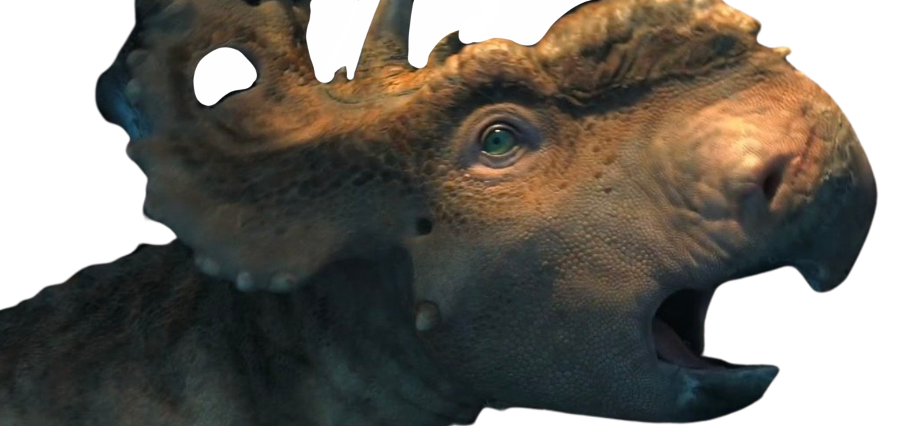 Patchi by DracoAwesomeness on DeviantArt