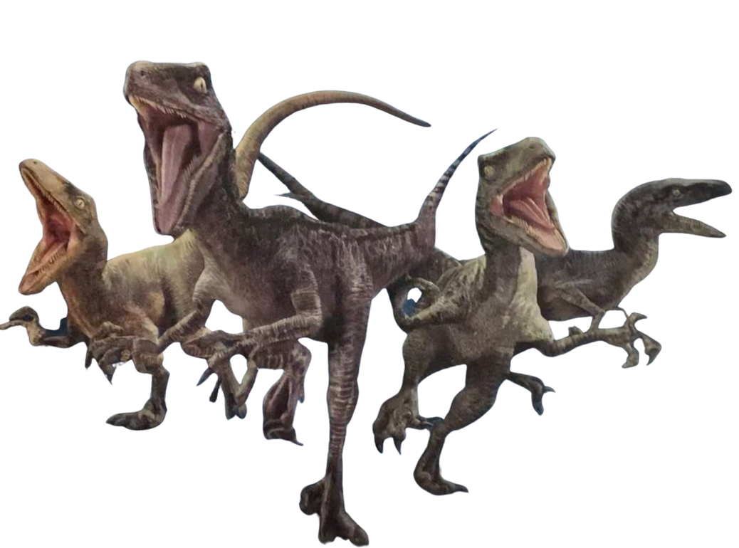 Valorous Raptors Raptors by DracoAwesomeness on DeviantArt