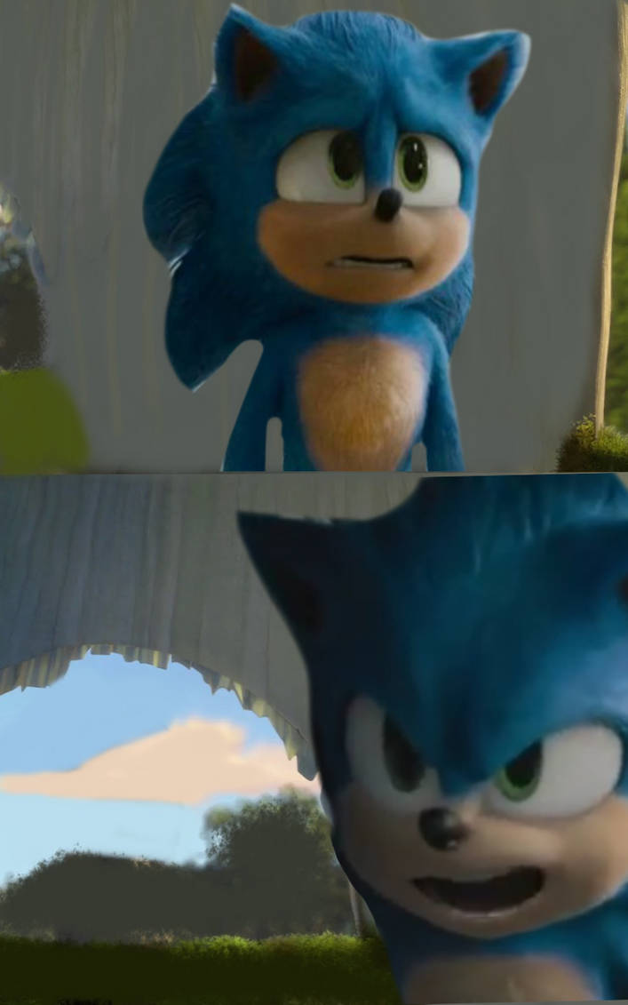 Sonic meme by DracoAwesomeness on DeviantArt