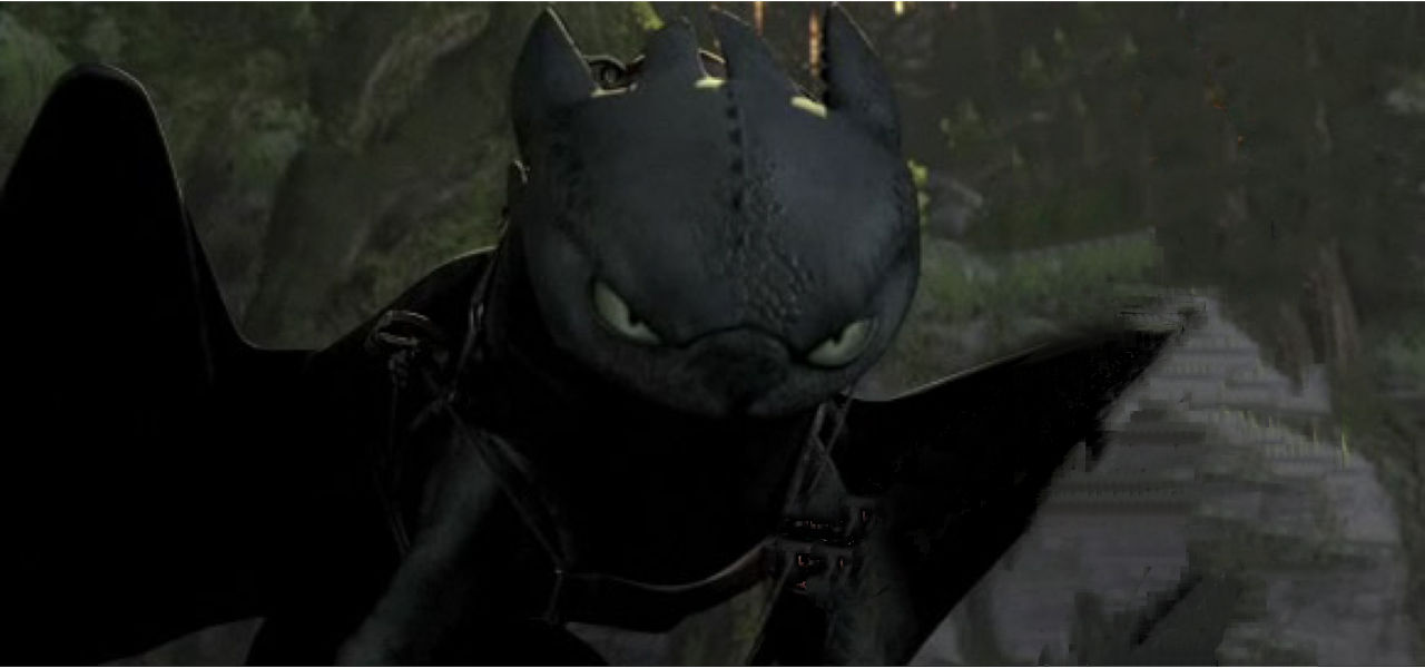 Toothless and who by DracoAwesomeness on DeviantArt