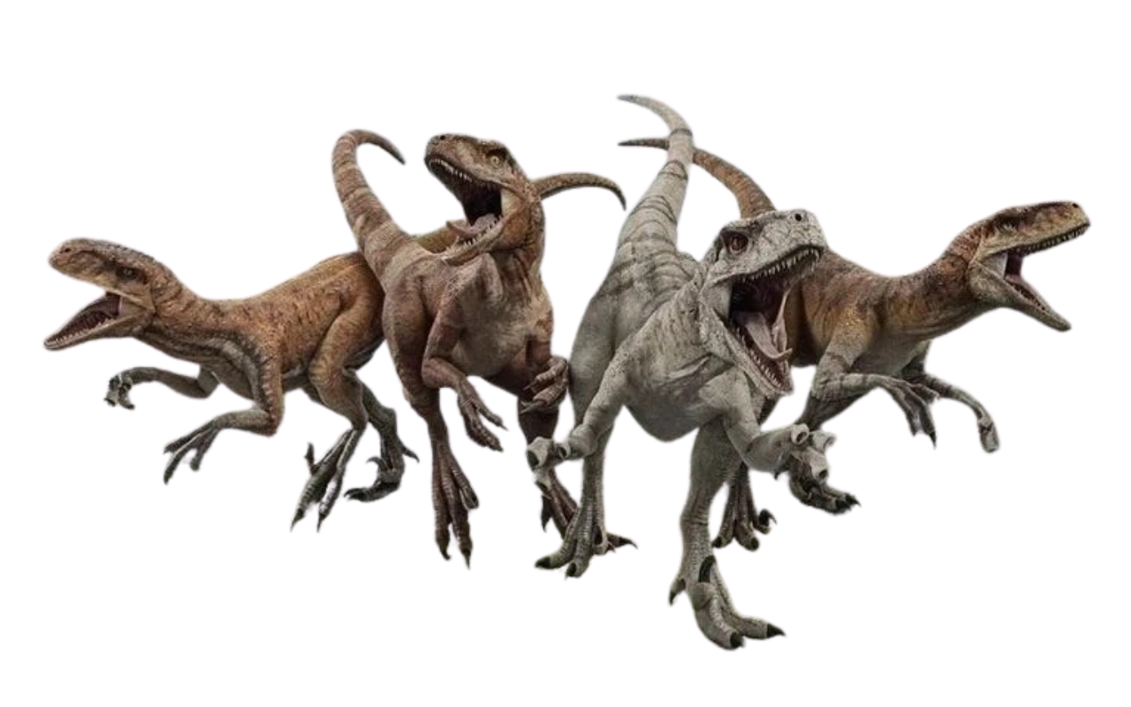 Valorous Raptors Raptors by DracoAwesomeness on DeviantArt