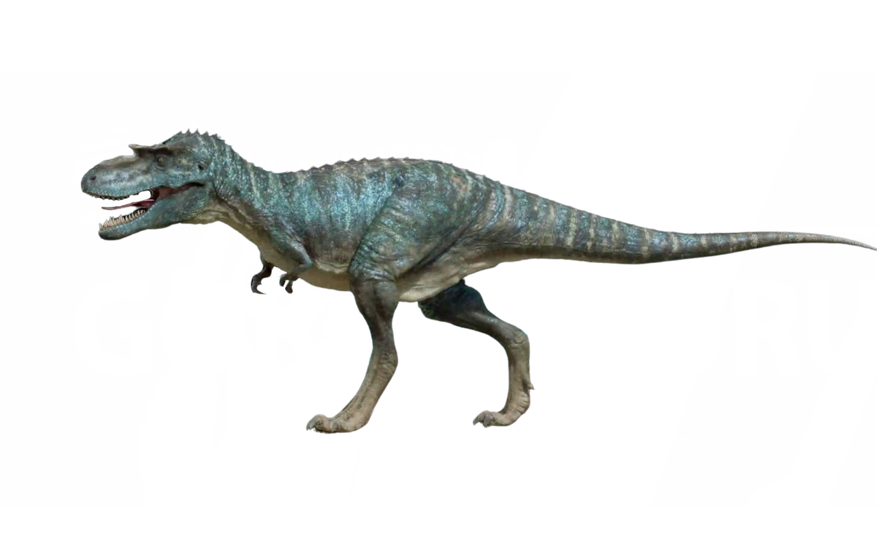 Gorgosaurus by DracoAwesomeness on DeviantArt