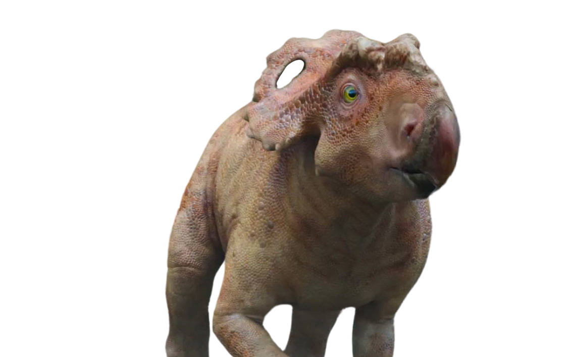 Patchi by DracoAwesomeness on DeviantArt