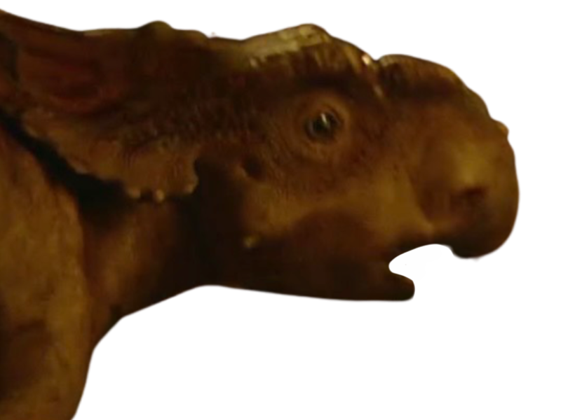Patchi by DracoAwesomeness on DeviantArt