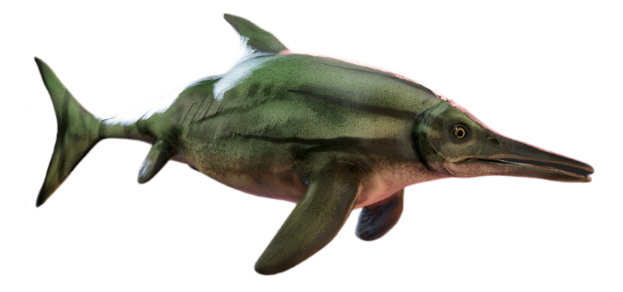 Stenopterygius by WalkingWithDragons on DeviantArt