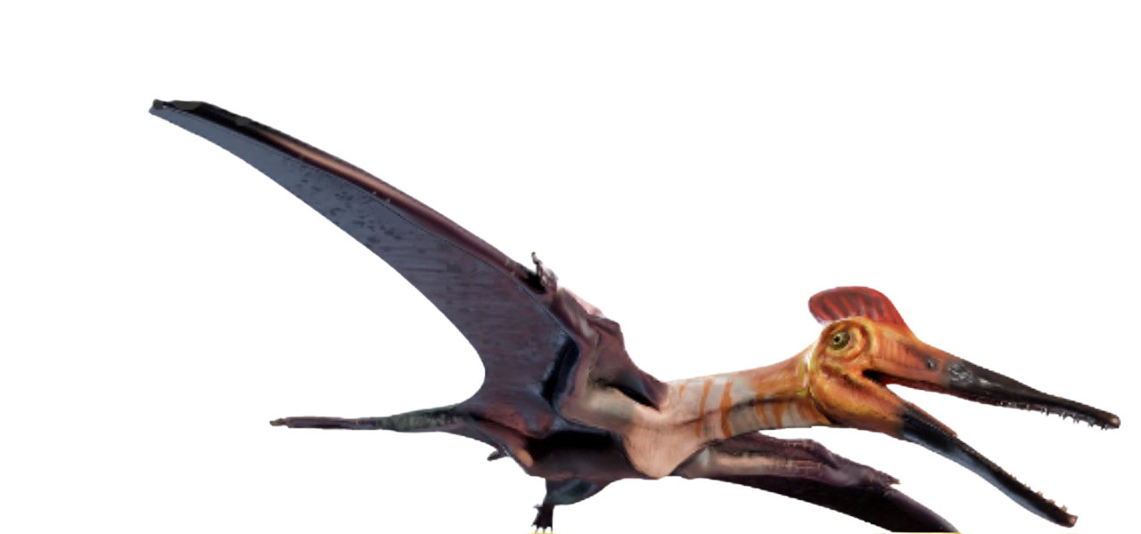 Pterodactyl by DracoAwesomeness on DeviantArt