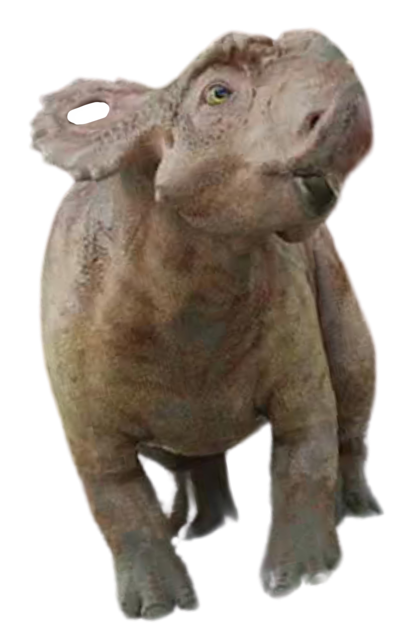 Patchi by DracoAwesomeness on DeviantArt