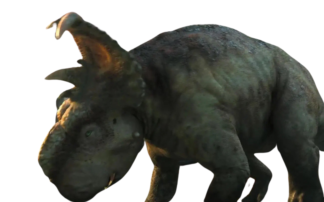 Patchi by DracoAwesomeness on DeviantArt