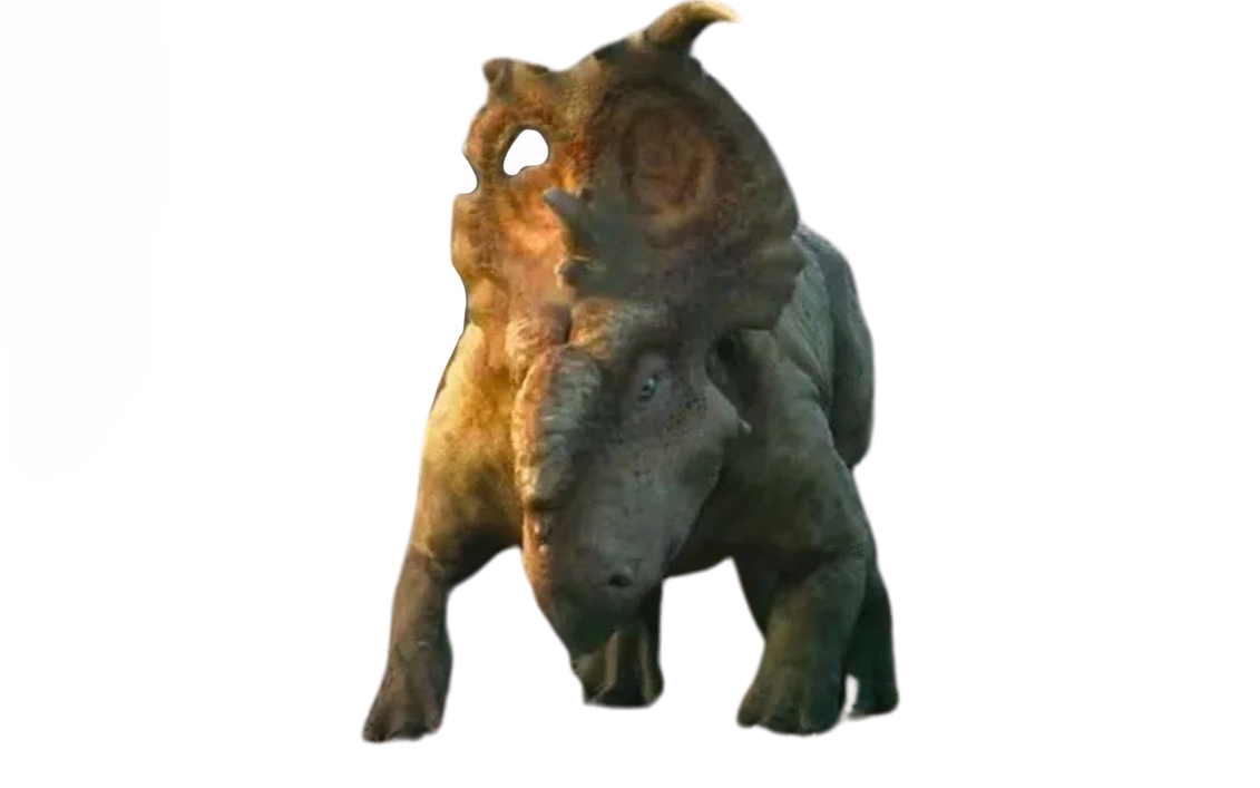 Patchi by DracoAwesomeness on DeviantArt