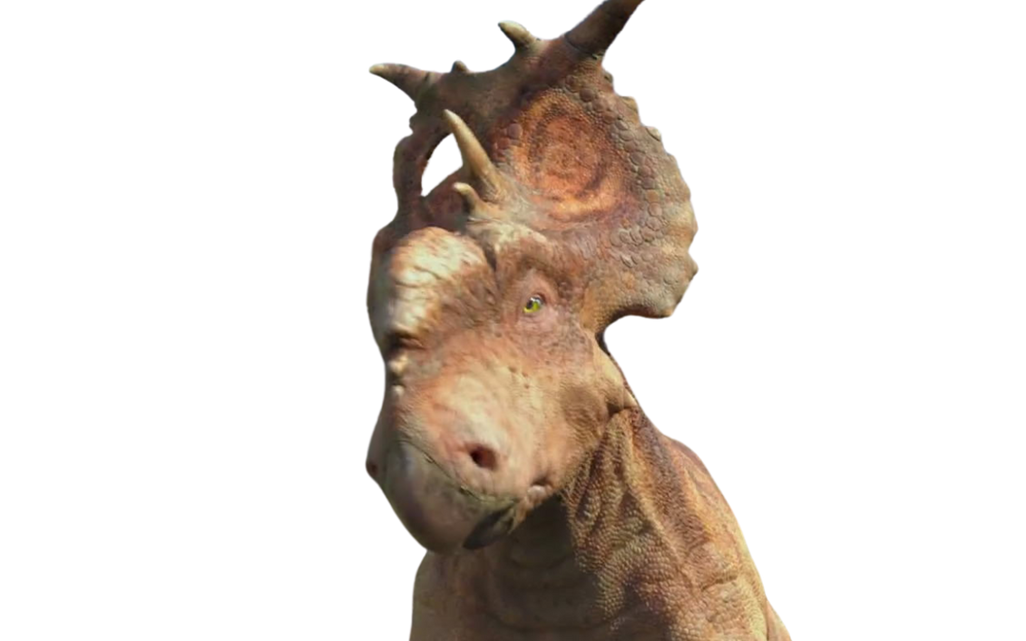 Patchi by DracoAwesomeness on DeviantArt