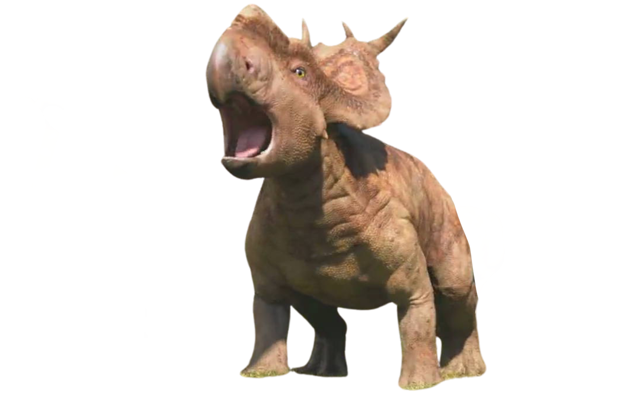 Patchi by DracoAwesomeness on DeviantArt